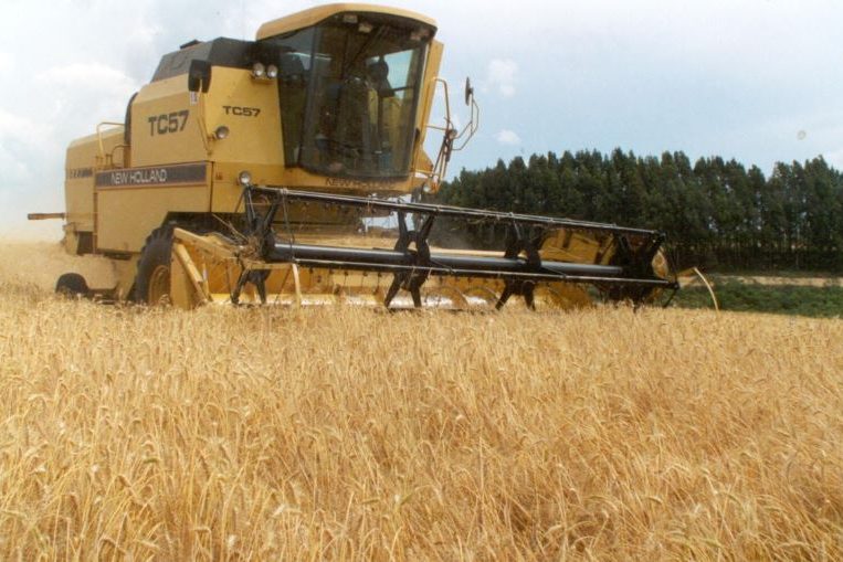 Colh Mec-Paulo Kurtz-EmbTrigo