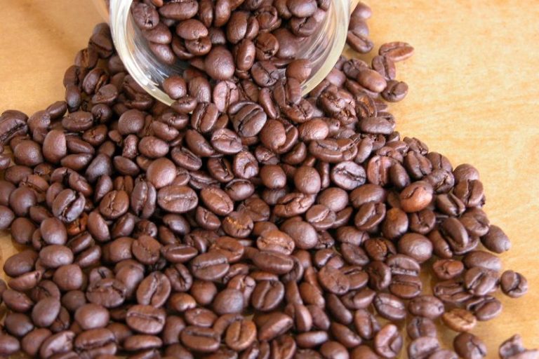 Graos-Feliciano Alves de Araujo-Embrapa Cafe