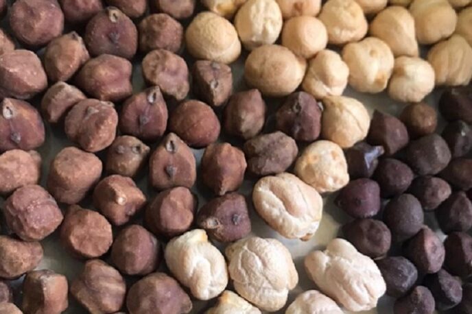 4 – IMG_003_Foto_ Embrapa