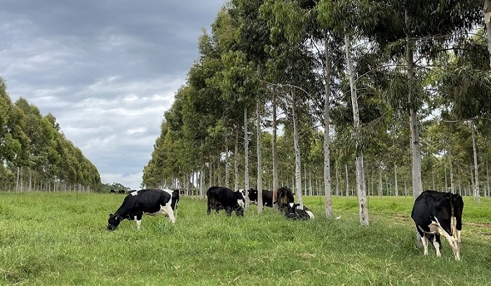 emissão de carbono_embrapa