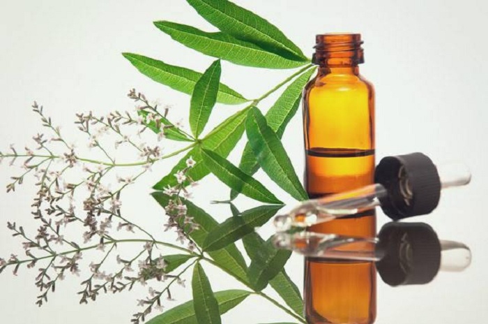 homeopatia-na-agricultura1
