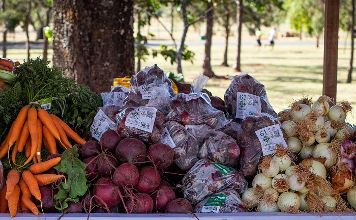 hortifruti_cna