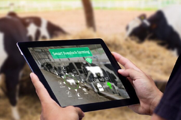 divulgação_embrapa