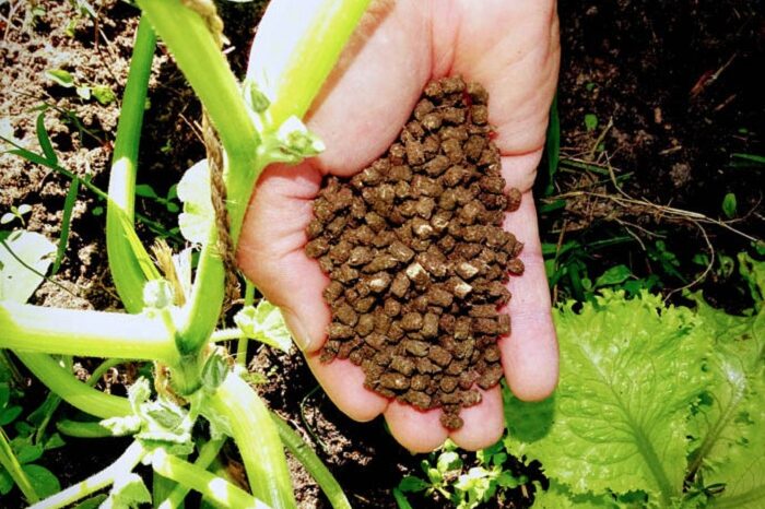 fertilizantes_embrapa