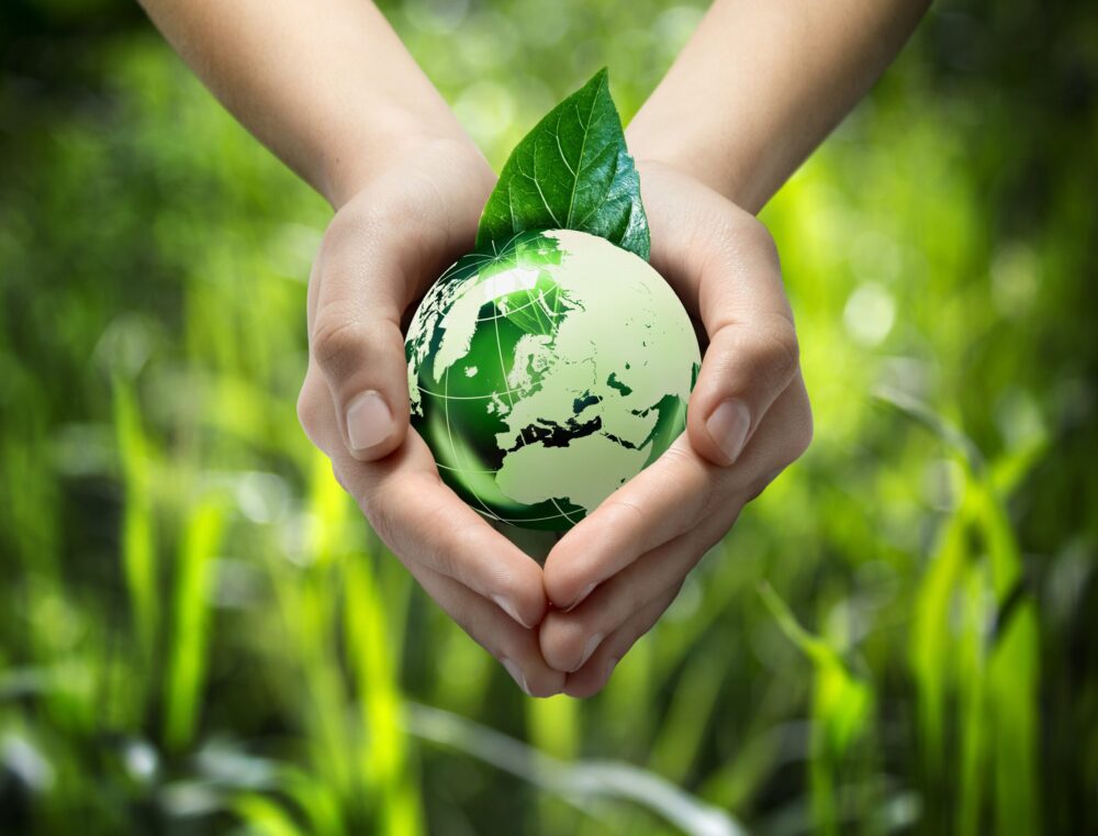 0 FOTO ABRE – aSustainability (1)
