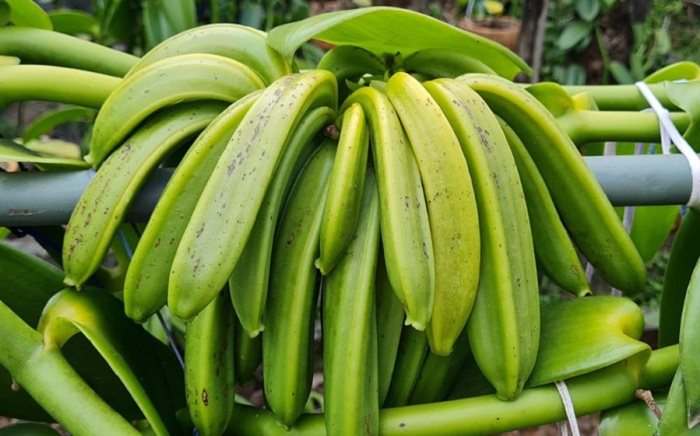 2 – IMG_001 Foto Zenilton Gaioso_editado