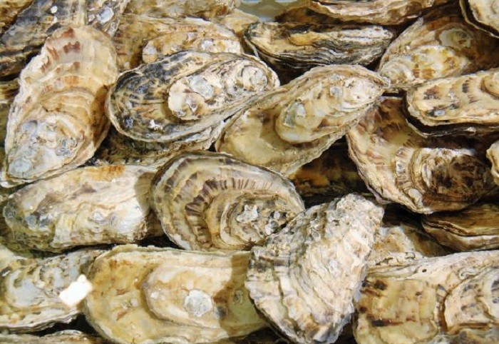Aquicultura e Pesca