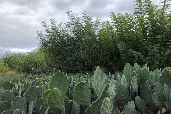 1 – IMG_001_editado