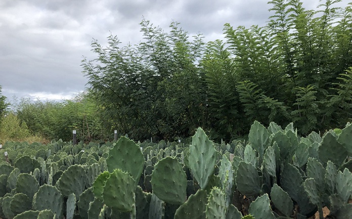 1 – IMG_001_editado