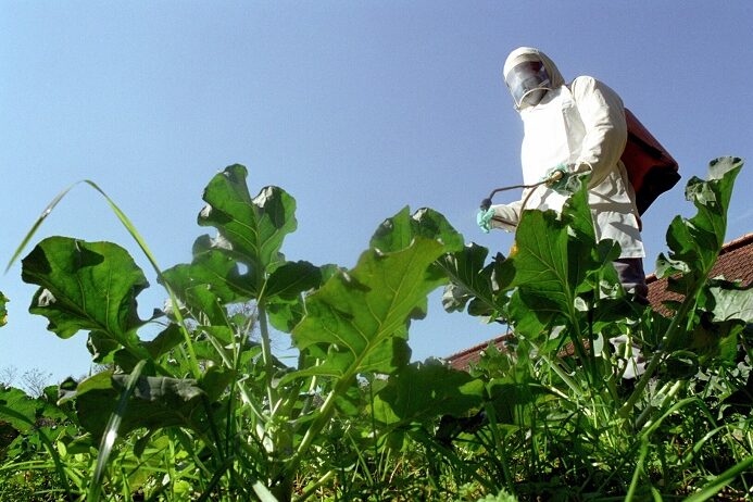 2 – Agrotoxicos Horta-Katia Marcon-EmaterRS-Ascar-13-08-2014_editado