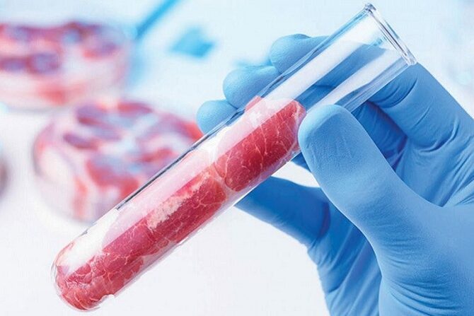 5 – 4 -Agricultura celular_Foto Divulgacao_editado