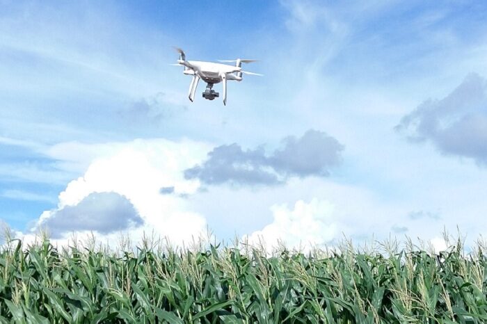 drone_embrapa_Joana Silva