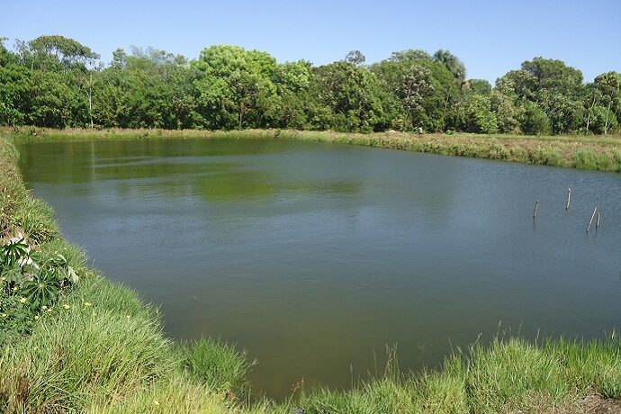 viveiro escavado_embrapa_editado