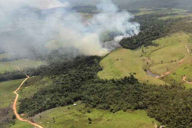 4 – IMG_002_editado