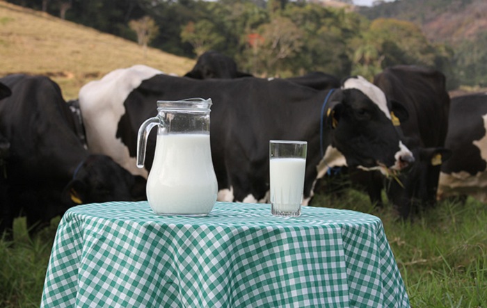 Jarra e copo de leite com vacas ao fundo
