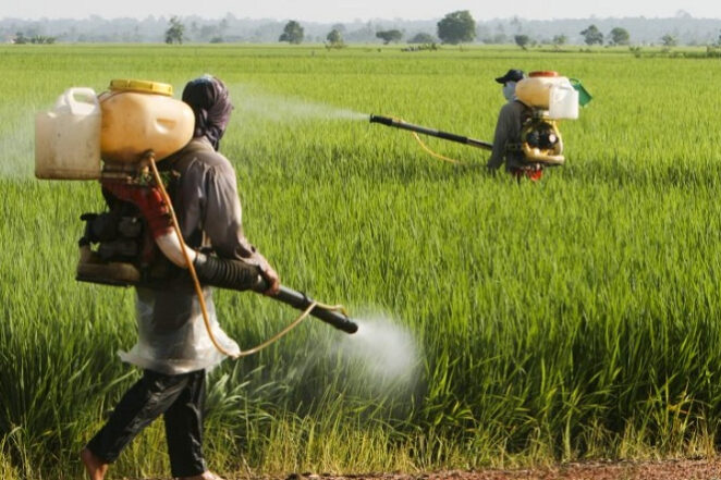 defensivos_gov_br_fotor