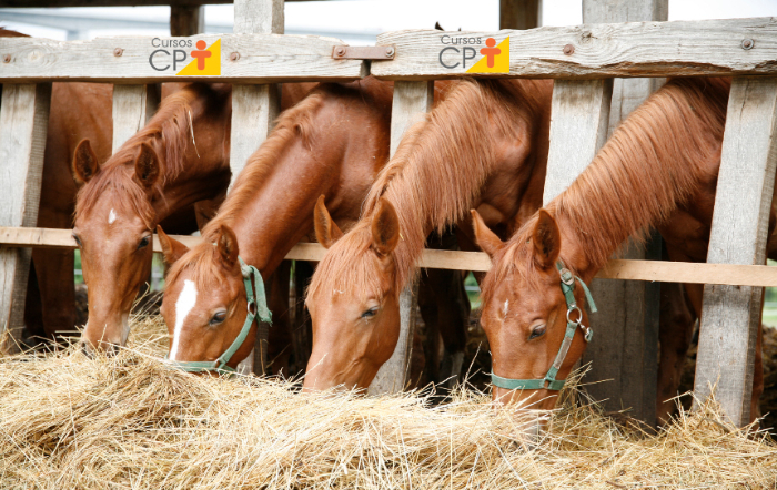 Foto: CPT/Reprodução