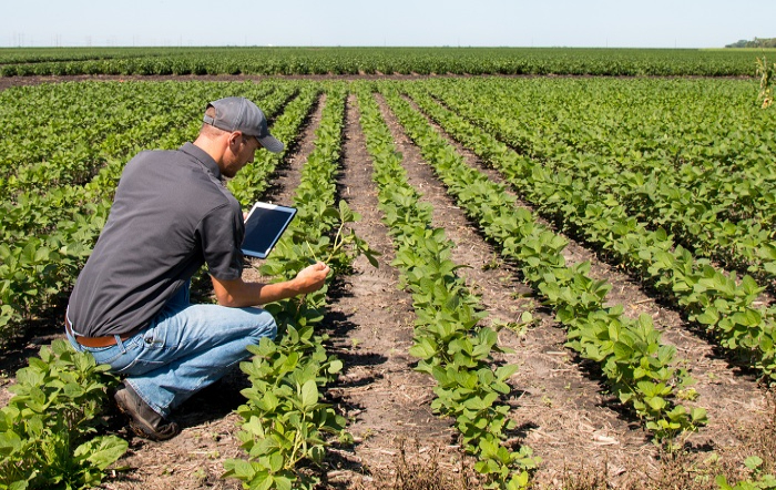 agricultura digital – iStock_fotor