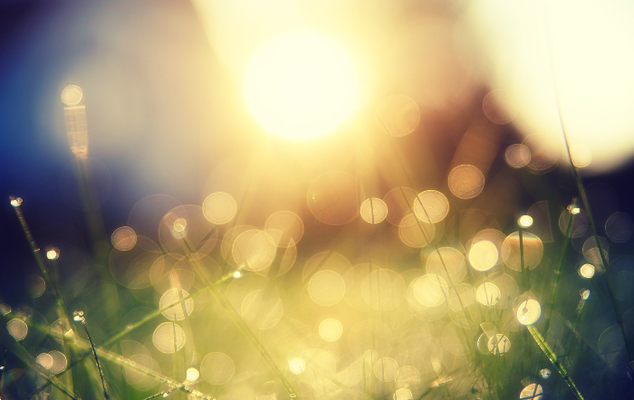 sun-5294496_1920_fotor