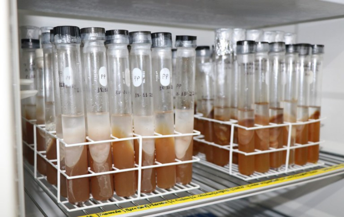 dadb4e1d-2d9a-474e-b324-1f9ae5fbb60c