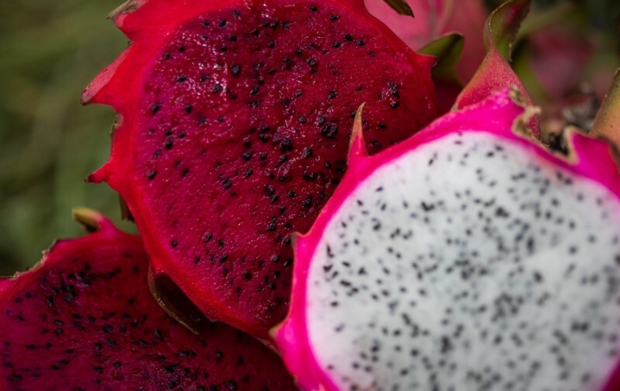 fruticultura-reuniao-cna