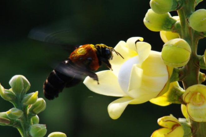 fotor_2023-1-19_14_2_6_fotor