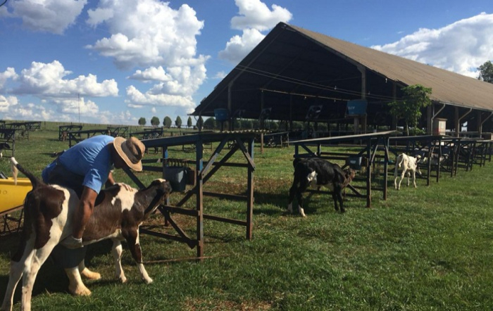 fotor_2023-1-3_10_56_16_fotor