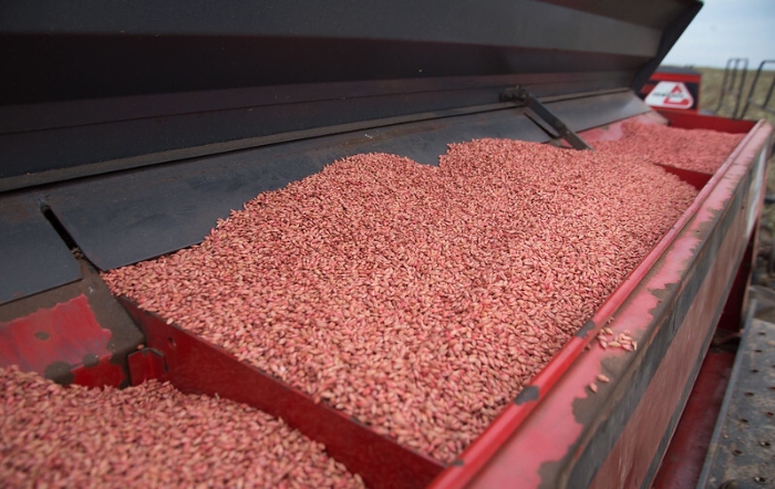 fotor_2023-2-6_11_41_2