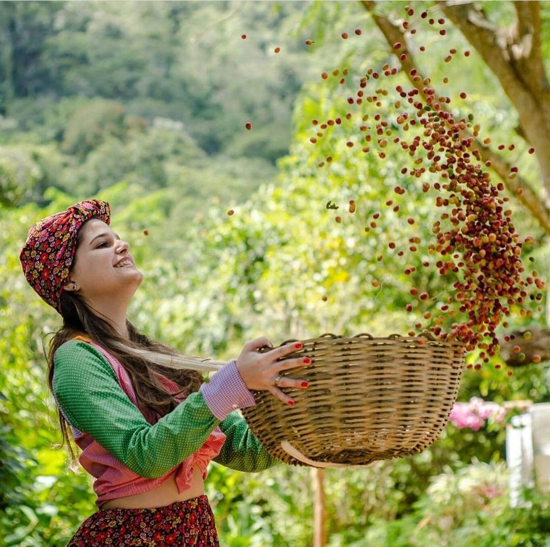 A Suíça cearense: conheça a Rota Verde do Café - A Lavoura