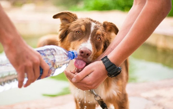 foto: iStock