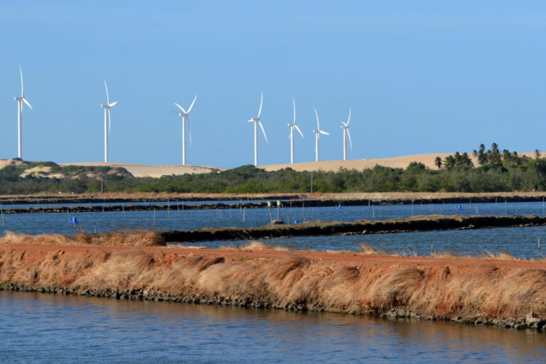 Viveiros escavados para produção de camarão/ Foto: Yara Novo-Embrapa