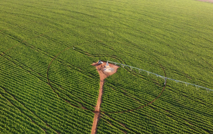 Imagem aérea captada por drone após liberação de vespas parasitoides de ovos de lagarta na cultura do tomate