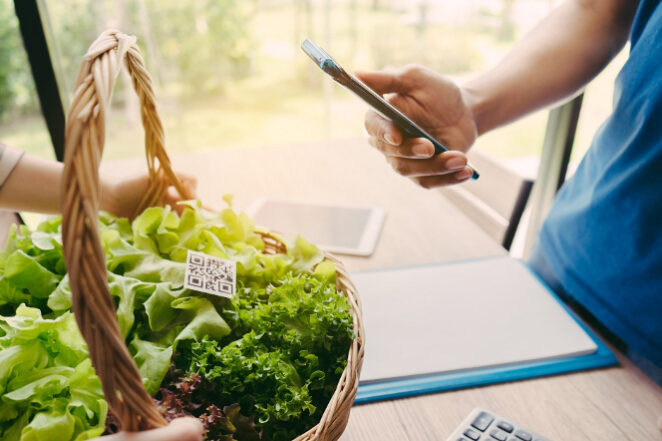 champlifezy_iStock_embrapa