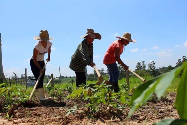 Veganos têm 75% menos emissões do que quem come carne - 24/07/2023