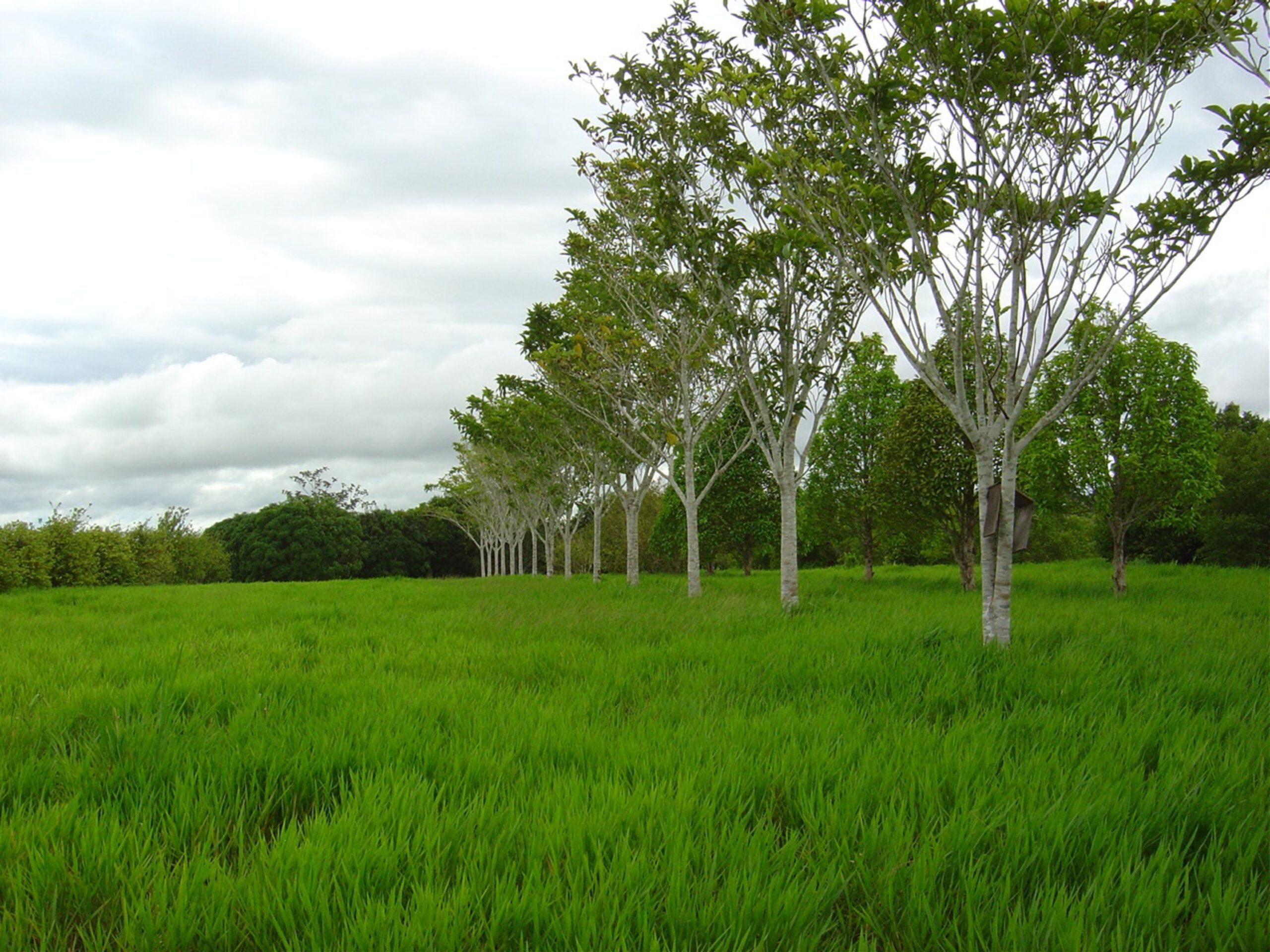 Foto: Carlos Andrade