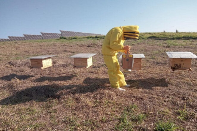 Gelées, froid et maintenant canicule: la récolte de miel en totale