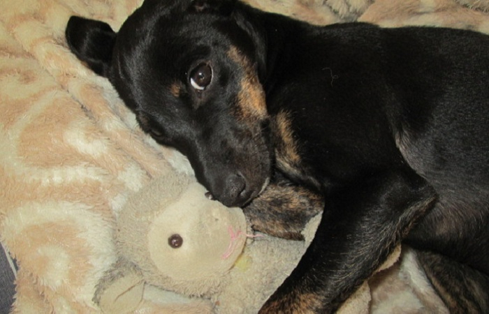 Luna-site-arquivo pessoal