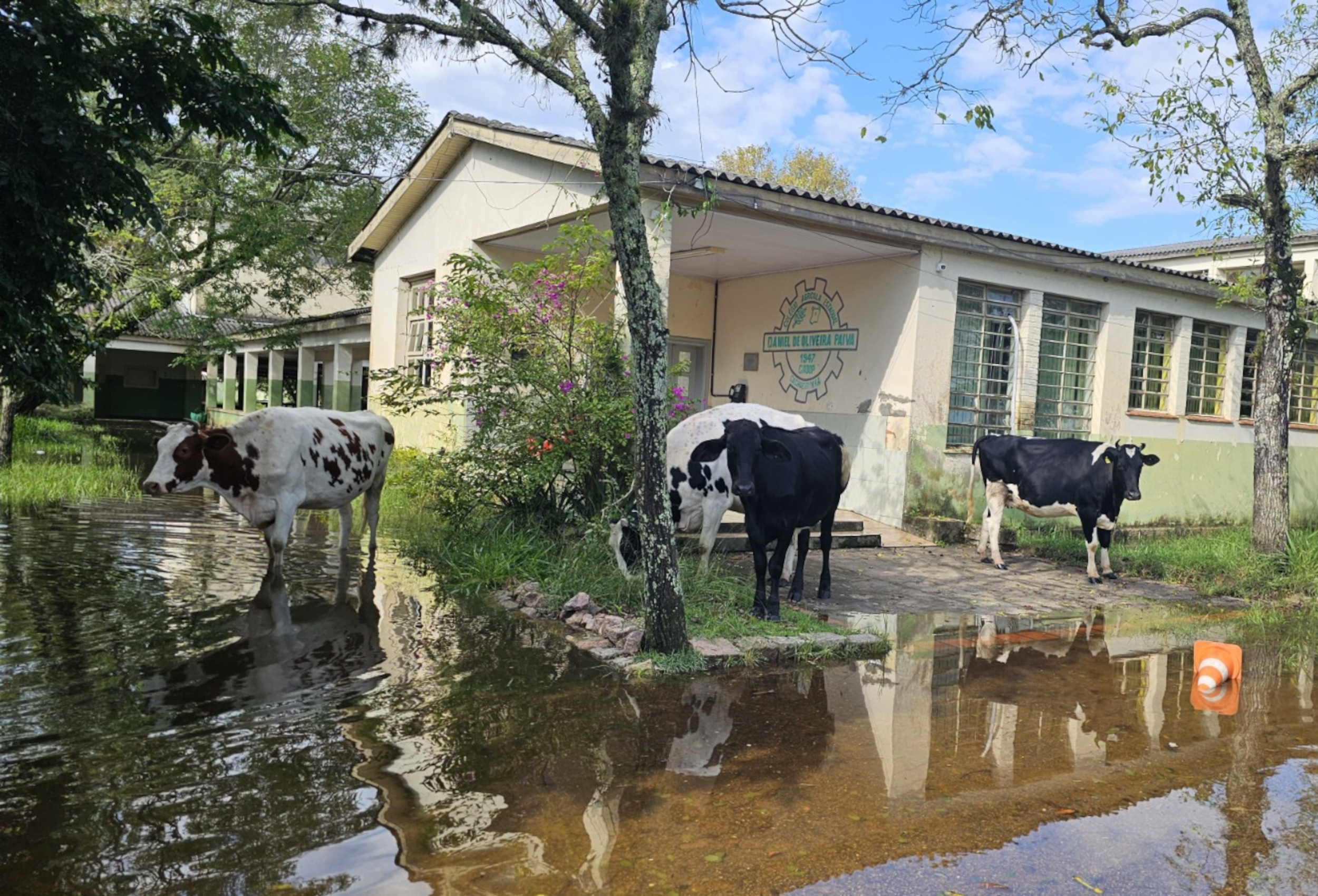 Alagamentos dificultam comunicação das escolas técnicas agrícolas do Rio Grande do Sul