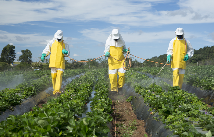 shutterstock-editado