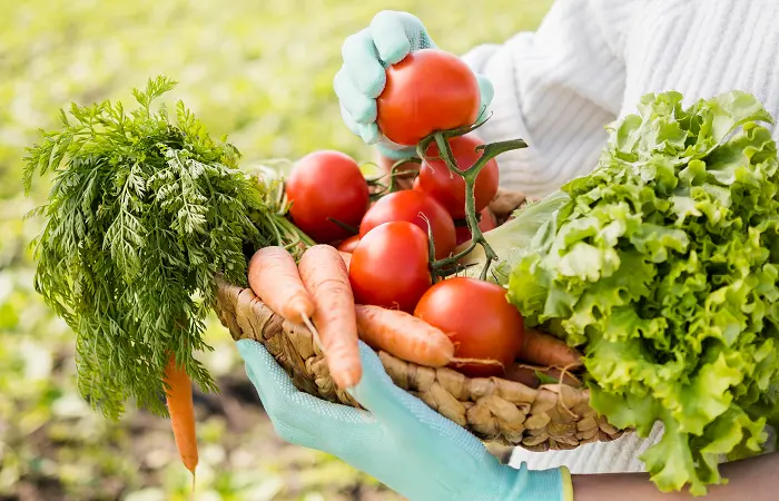 Divulgacao-site-editado