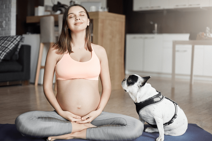 Saiba como preparar seu pet para a chegada do bebê