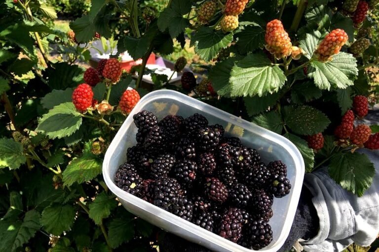 0-FOTO-ABRE-article-Copia-_2_