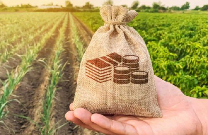 Credito-Envanto-Elements-Divulgação