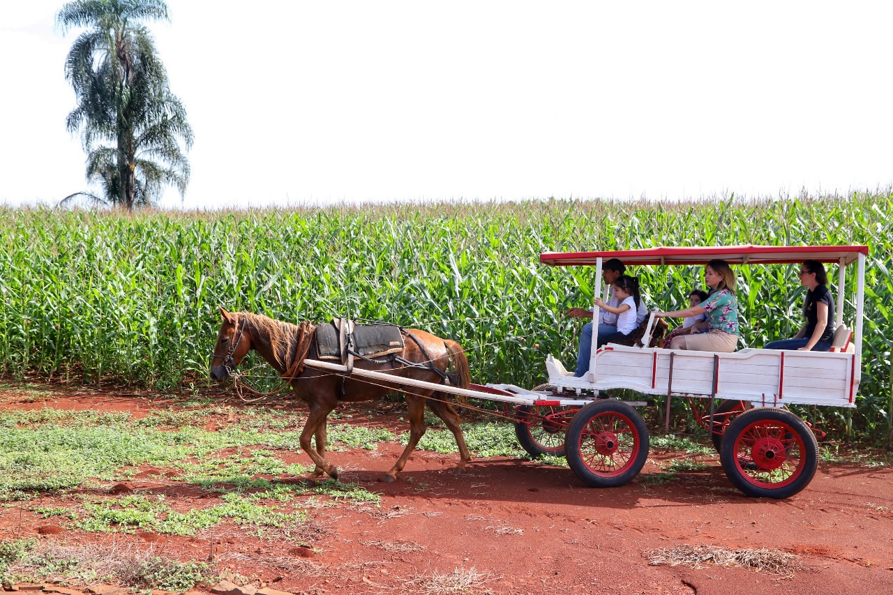 0 – FOTO ABRE – Turismo rural – Foto Secret Agrc Abast Paraná91a – Copia