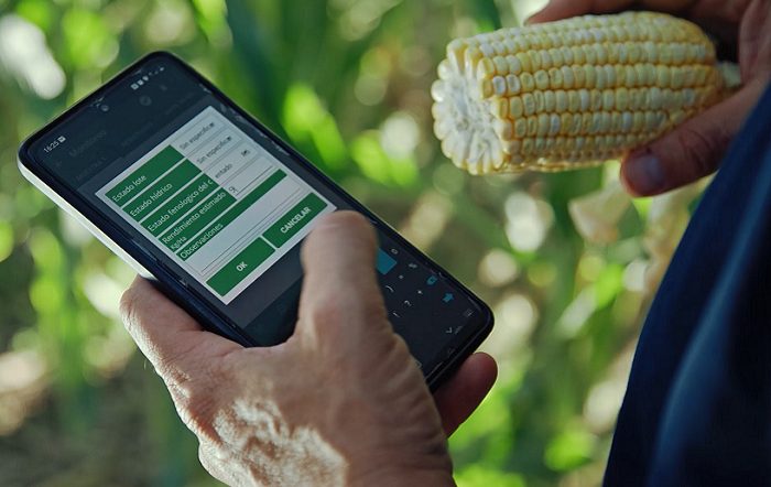 App-divulgação-site