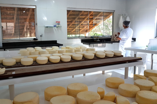 queijo-artesanal-editado-divulgação-site