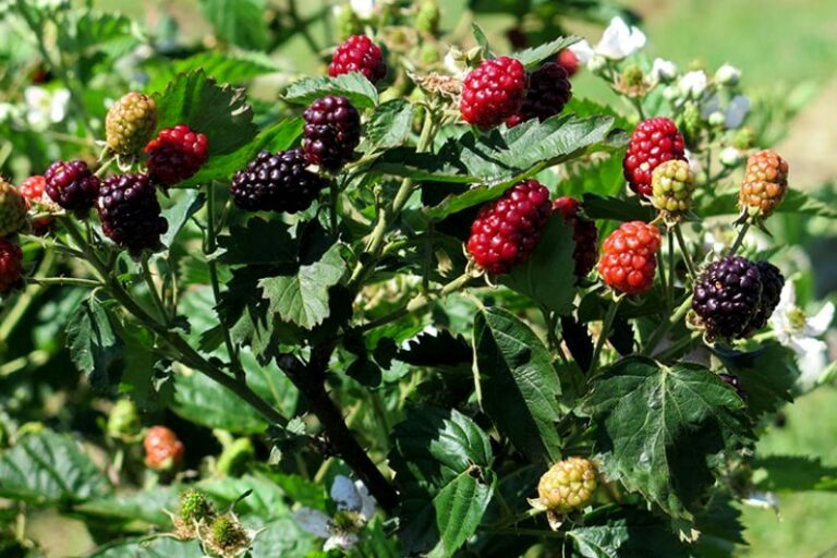 Foto site – interna (940 x 530) – 1