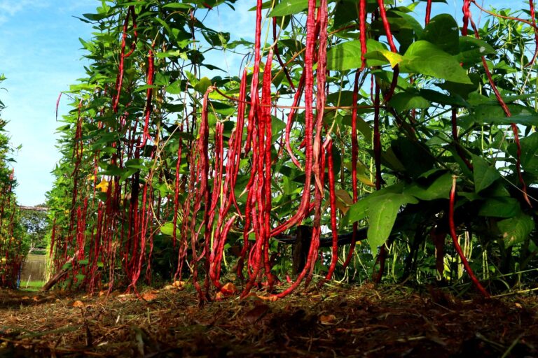 0 – FOTO ABRE -210720040o – Copia