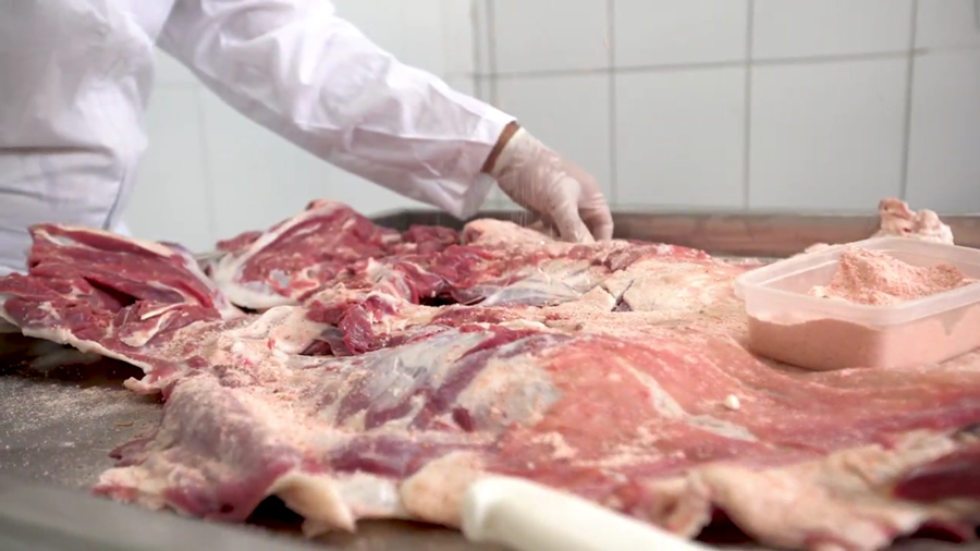 0 – FOTO ABRE – article (6)