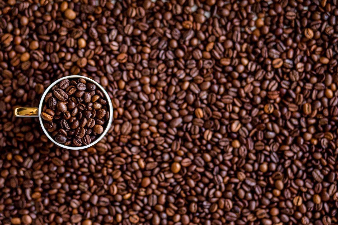 0 – FOTO ABRE – cafe VALE DA GRAMA SP iIG fOTO SBRAE SP – Copia